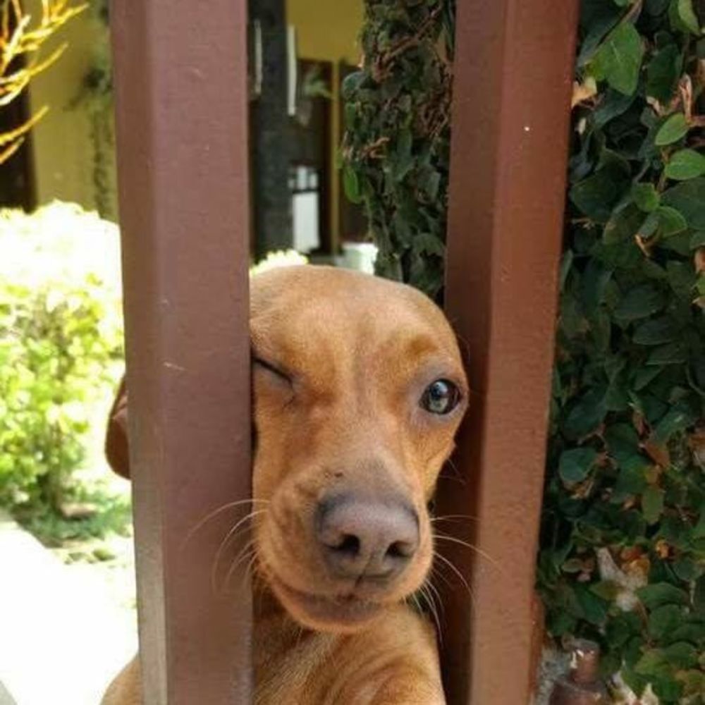 Meet your Posher, Gisa